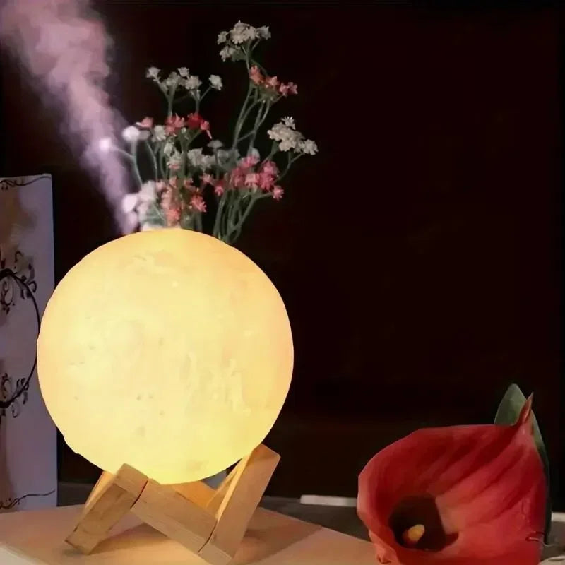 luz de luna, moonflight. Lámpara, librero.